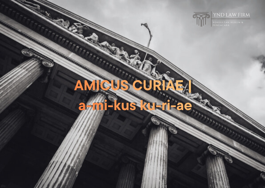 AMICUS CURIAE